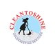 cleantoshine15